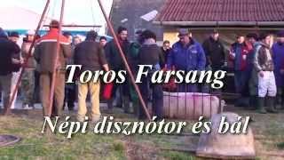 preview picture of video 'Érsekcsanád: Toros farsang - Népi disznótor és bál...'