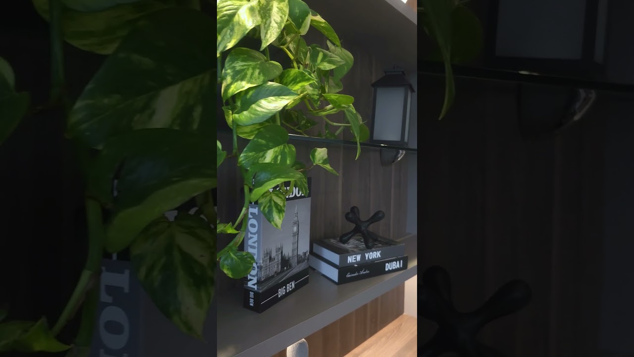 Franklin Correa Barcellos-1