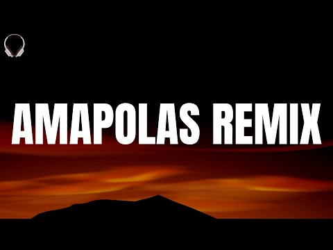 Leo Rizzi, Danny Ocean - Amapolas Remix (Letra/Lyrics)