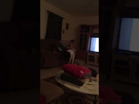 Buddha and dad fighting