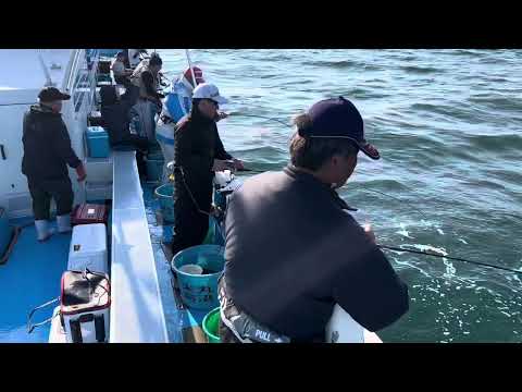 2023.11.4 Puerto antiguo de Kashima Seieimaru