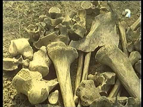 STOPY DÁVNEJ MINULOSTI - Veľká cesta za zlatým rúnom (2/2)