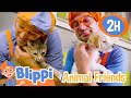 Cute Pets And Animals For Kids With Blippi 2 Hours Of Blippi Educational Videos For Kids
