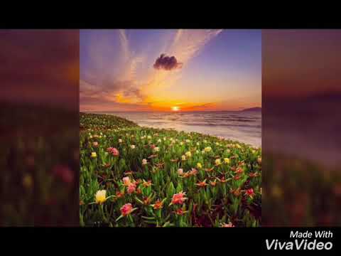 Mohini sahu Sabarne Lage