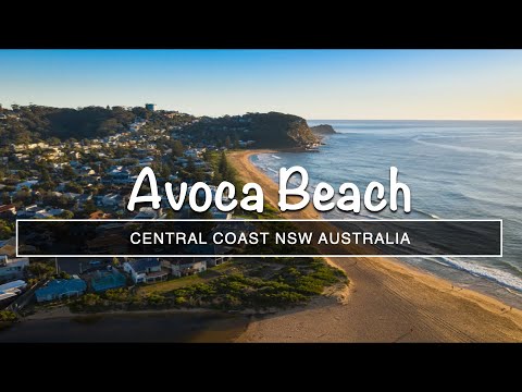 Aerial video of Avoca Beach