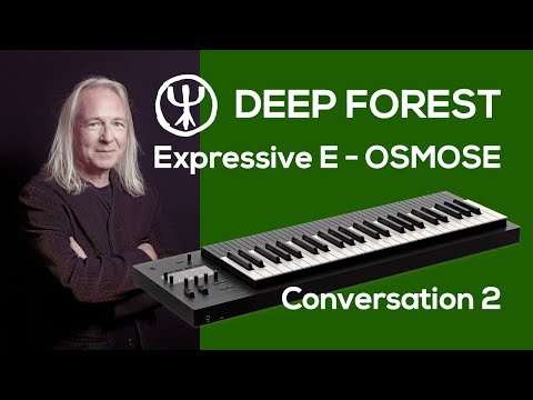 Expressive E Osmose - Conversation 2 - Slide guitar mood | Deep Forest
