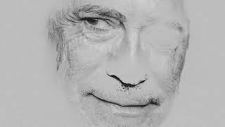 alain chamfort les microsillons