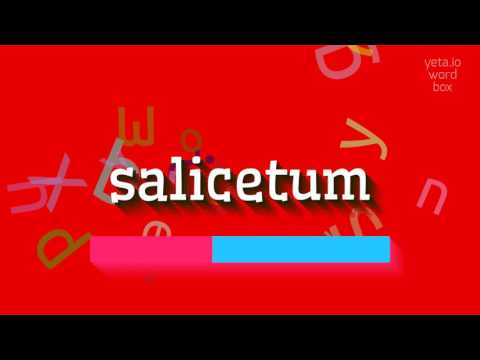 HOW TO SAY SALICETUM?
