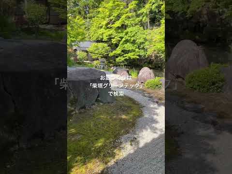 日本の禅庭2022の植物