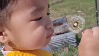 [생후 728일] 곡성 할머니집 방문 자연체험