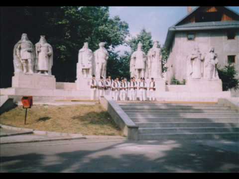 SANCELENII Ard o focu' viata