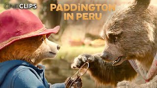 Download lagu Paddington Finally Reunites With Aunt Lucy | Paddington In Peru | CineClips mp3 Download lagu Paddington Finally Reunites With Aunt Lucy | Paddington In Peru | CineClips mp3