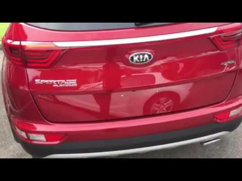 Shaun - sportage platinum