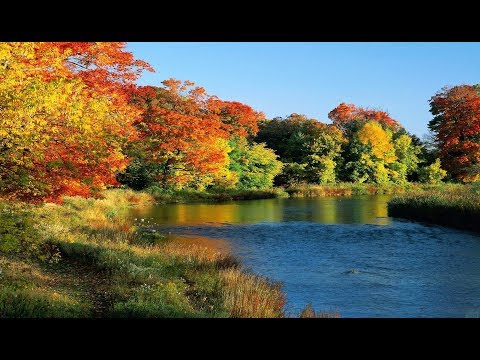 Ze Marco e Adriano - Coração carente II