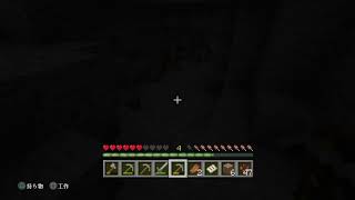 マイクラ