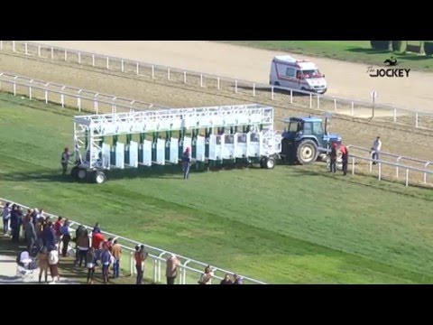 1 Carrera, premio Cría Nacional, 24 de enero 2016 - Gran Hipódromo de Andalucía