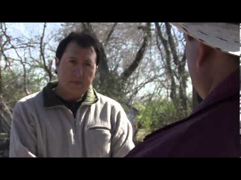 GENTE VIOLENTA 3 trailer