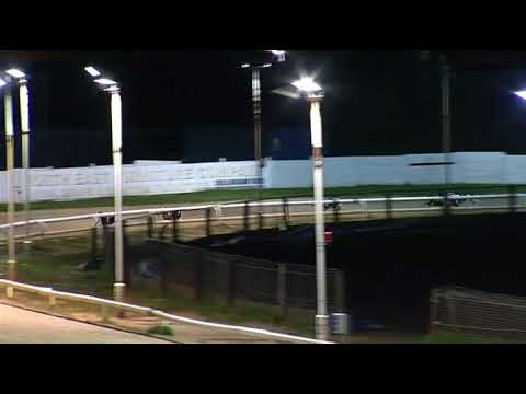 2017 WILLIAM HILL NORTHERN PUPPY DERBY - HEAT 1 - T1 STOLE MY BABY