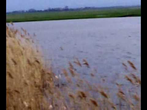 Mutnjača april 2010