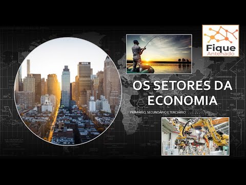 The Sectors of the Economy