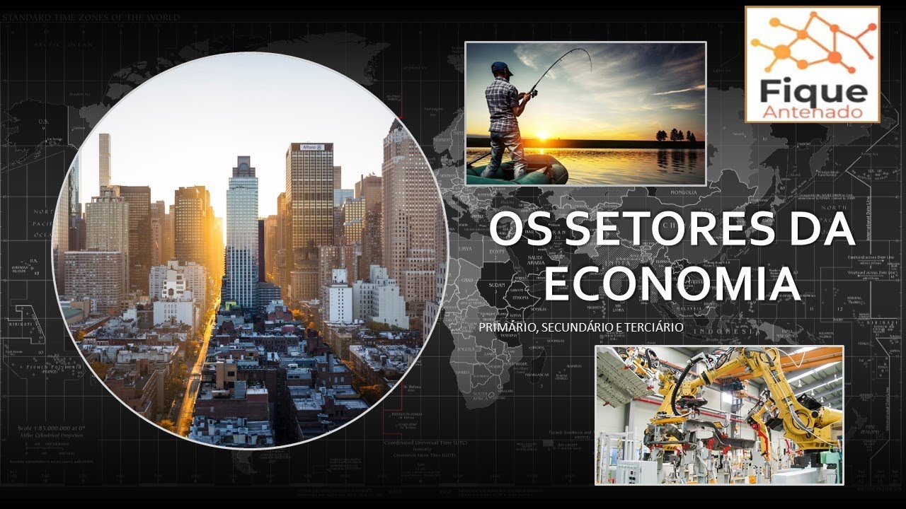 Os Setores da Economia