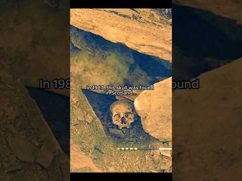 What did a Bronze Age European look like? #history #archaeology