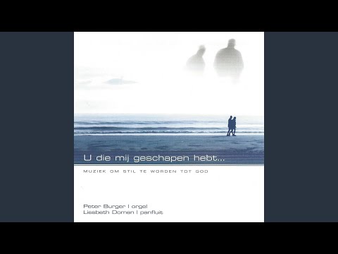 Heer U bent mijn leven (Instrumental)