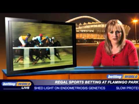 Regal sports betting at Flamingo Park