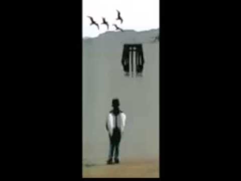 A LOS PAJAROS QUE CANTAN SOBRE LAS SELVAS DE INTERNET - INDIO SOLARI