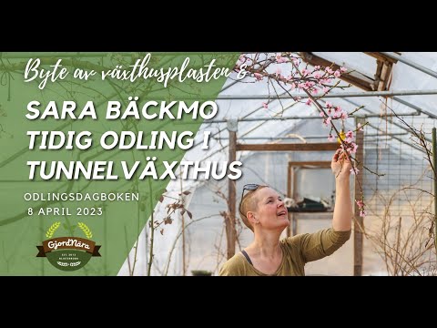 , title : 'Vi byter växthusplast hos Sara Bäckmo som visar sina tidiga odlingar i Tunnelväxthusen'