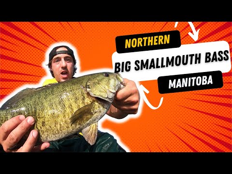 Manitoba Smallmouth Bass Fishing (Rocky Lake)