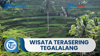 Destinasi Wisata Terasering Tegalalang, Ialah Salah Satu Wisata Alam yang Terletak di Bali