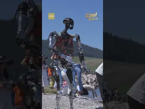 Humanoid robots put to the test in Xinjiang challenge