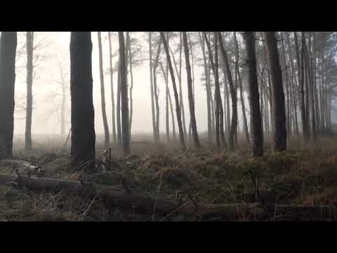 111101 689925384 tiny