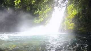 432Hz Devine Land - Wind of Change - Tom Soltron