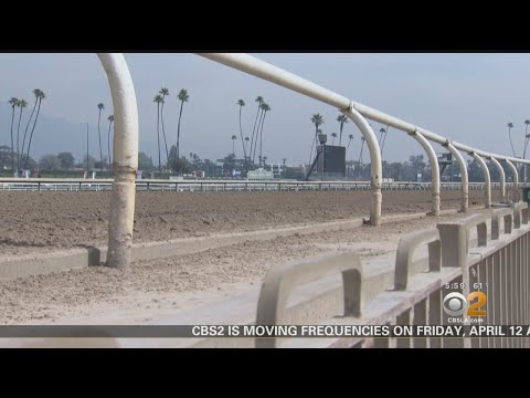 Santa Anita Racehorse Deaths Under Investigation