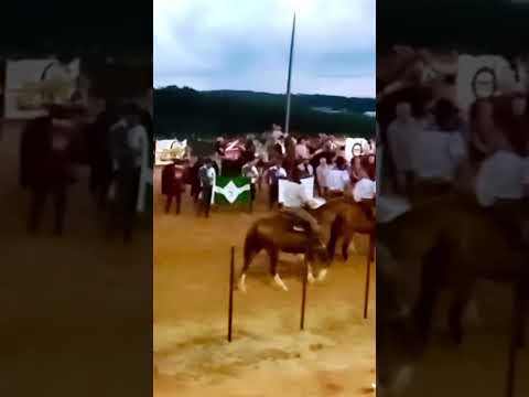 CTG cupim Imbituva PR