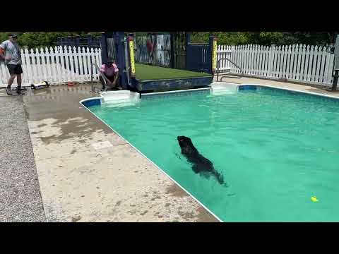 Taking A Dip With "Beth" At The Pool