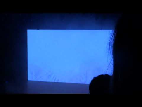 Arrivée sur scène / Martin Solveig / Olympia 02 novembre 2018