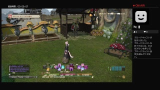 FF14チョコボの色変えチャレンジ