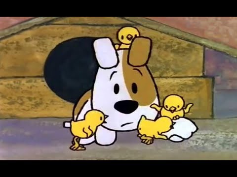 Reksio - bohater słynnej polskiej dobranocki świętuje 50 urodziny