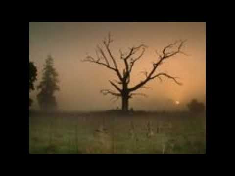 The Ghost Of 3.13 - Forgotten (sped up ver.)