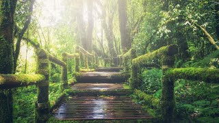 התחלה חדשה | תוכנית בשידור חי! לימוד בספרי רבי נתן מברסלב זיע"א (הרב ברוך זרובבל) - התמונה מוצגת ישירות מתוך אתר האינטרנט יוטיוב. זכויות היוצרים בתמונה שייכות ליוצרה. קישור קרדיט למקור התוכן נמצא בתוך דף הסרטון