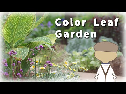 構造化された t レイアウト木々のある大きな庭モダンなデザインのアイデア