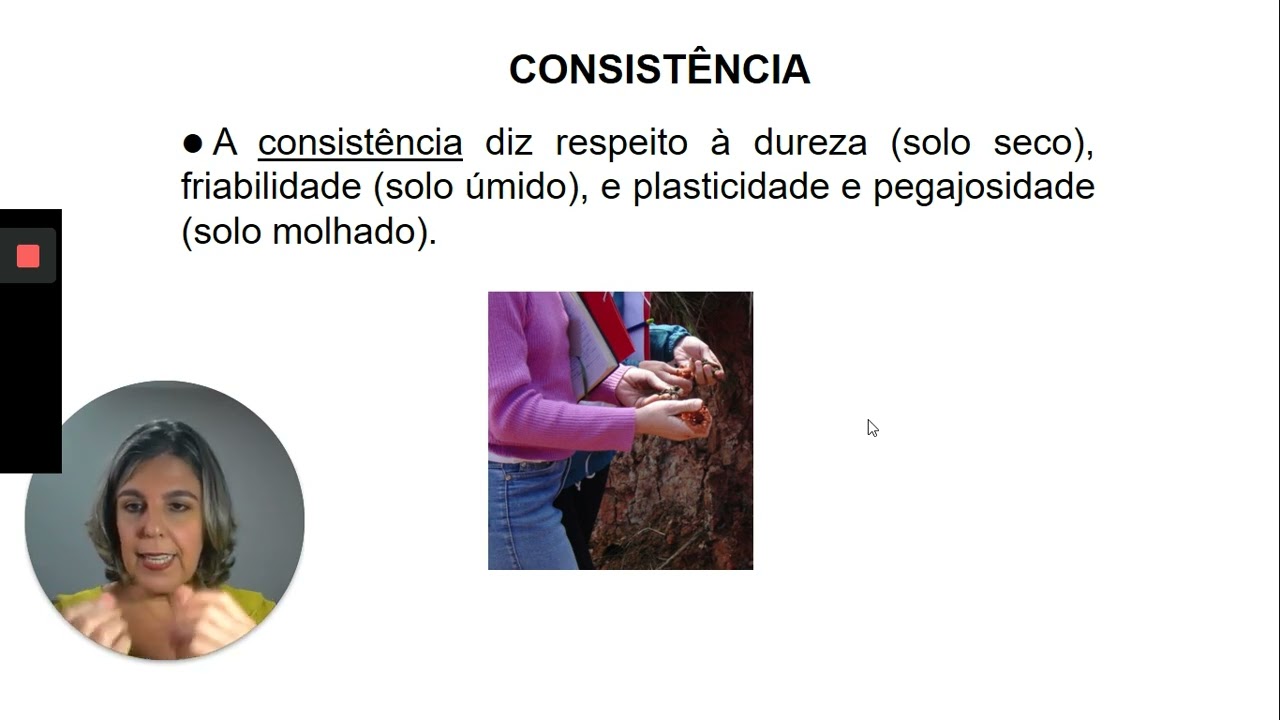 Cerosidade e consistencia