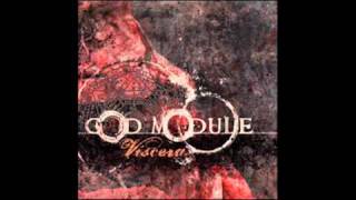 God Module - Sections (Viscera album)