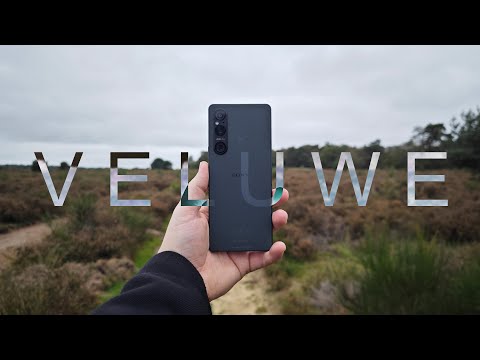 Sony Xperia 1V POV Veluwe Photography