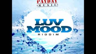 Luv Mood Riddim - (Payday Music Group) Feb.2012