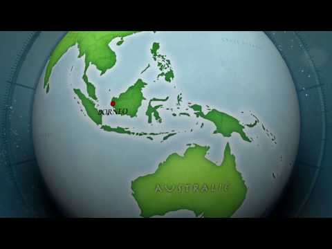 BOEKTRAILER THRILLER VERKAPT