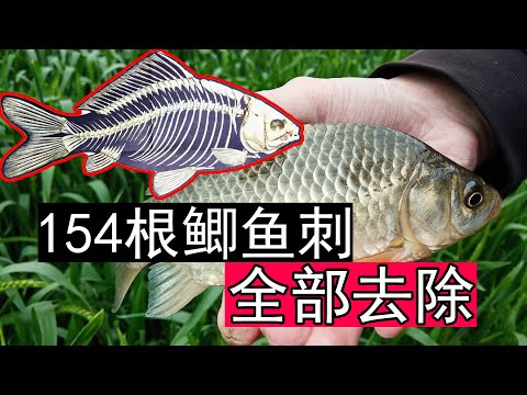 刺鯉魚意思